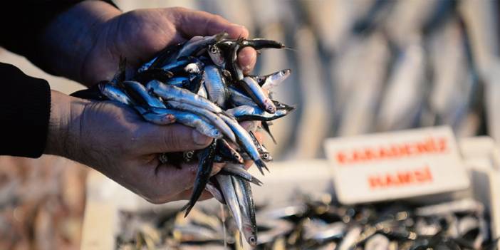 Hava soğudu, balık tezgahları hamsi ile doldu