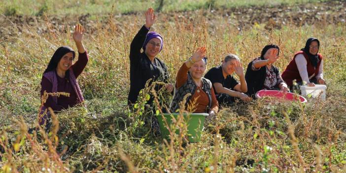 Samsun'da üreticilere büyük destek