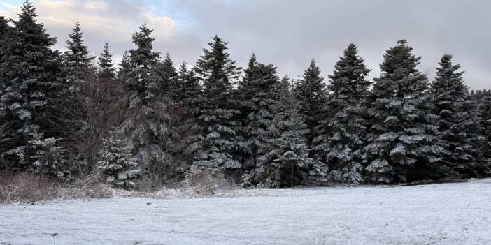 Nisan ayında yağan kar doğayı beyaza bürüdü