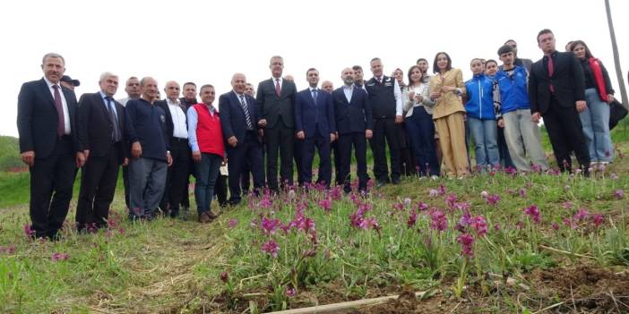 Uygulamalı hasat ve eğitim etkinliği yapıldı