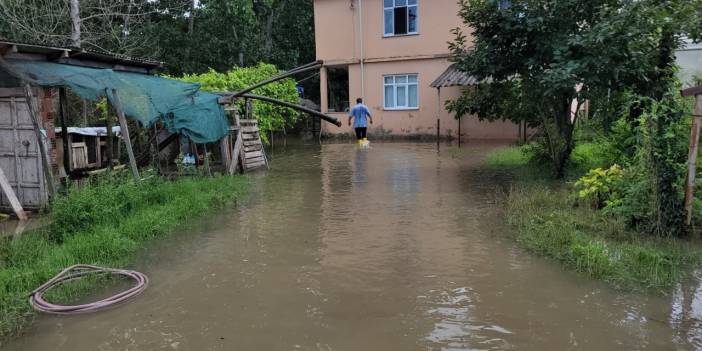 Samsun'da sağanak nedeniyle bazı tarım alanlarını su bastı