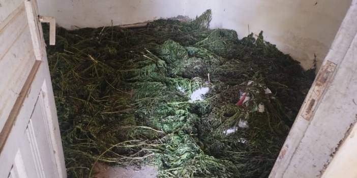 Uyuşturucu operasyonunda 63 kilogram kubar esrar ele geçirildi