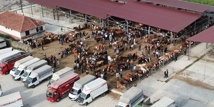 Havza'da canlı hayvan pazarı kapatıldı