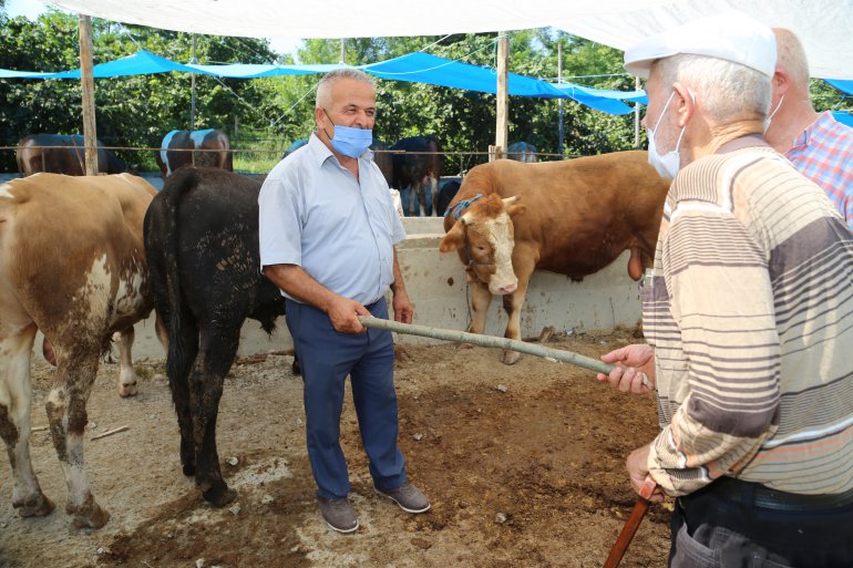 FINDIK DALIYLA KURBAN PAZARLIĞI