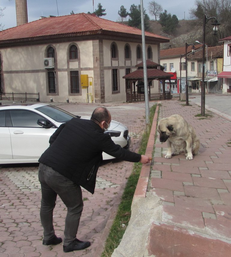 SALGINDA SOKAK HAYVANLARINI UNUTULMAMALI