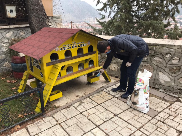 SOKAK HAYVANLARINA YİYECEK DESTEĞİ