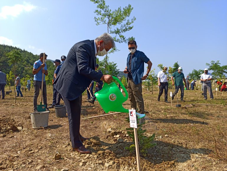 251 FİDAN TOPRAKLA BULUŞTURULDU