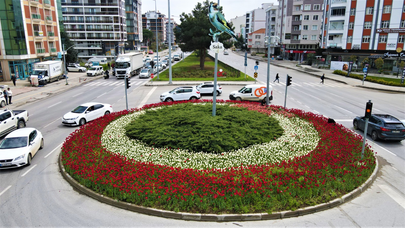 samsun-lalelerle-renklendi-1.jpeg
