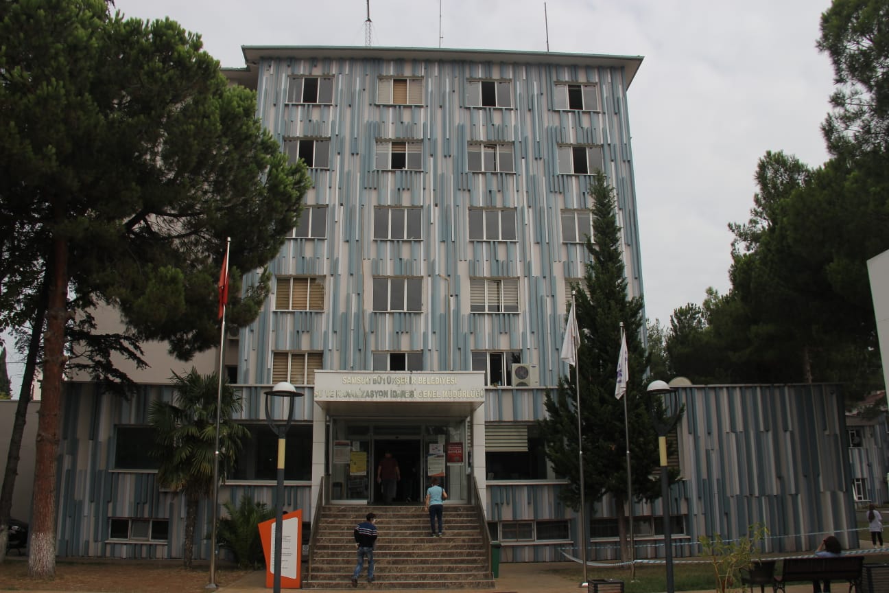 saski-4.jpg