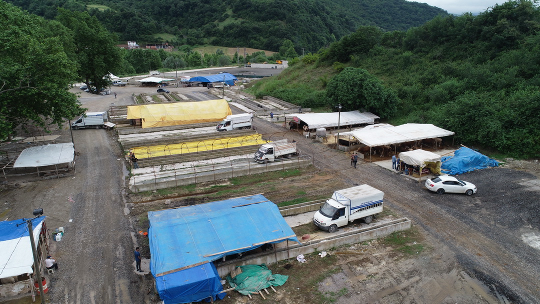 dji-0111.jpg