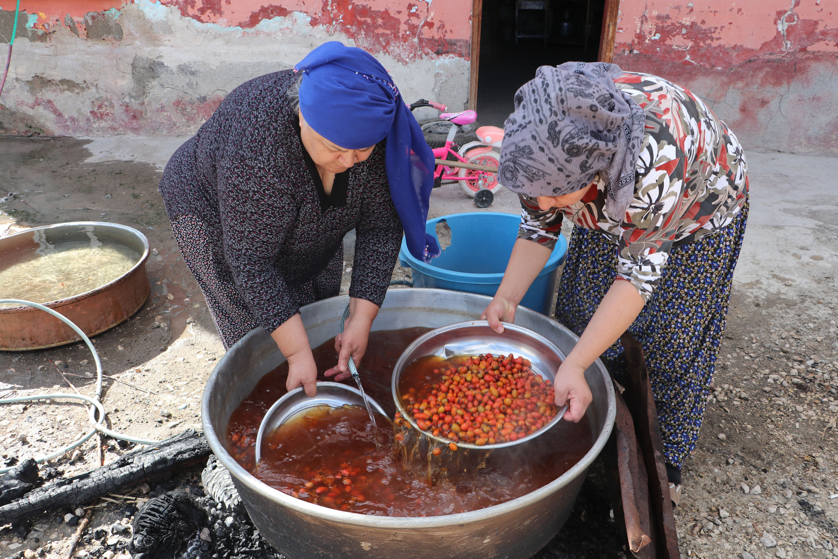 aa-20230913-32138522-32138519-havzali-kadinlar-kis-hazirligi-icin-kusburnu-marmeladi-yapti.jpg