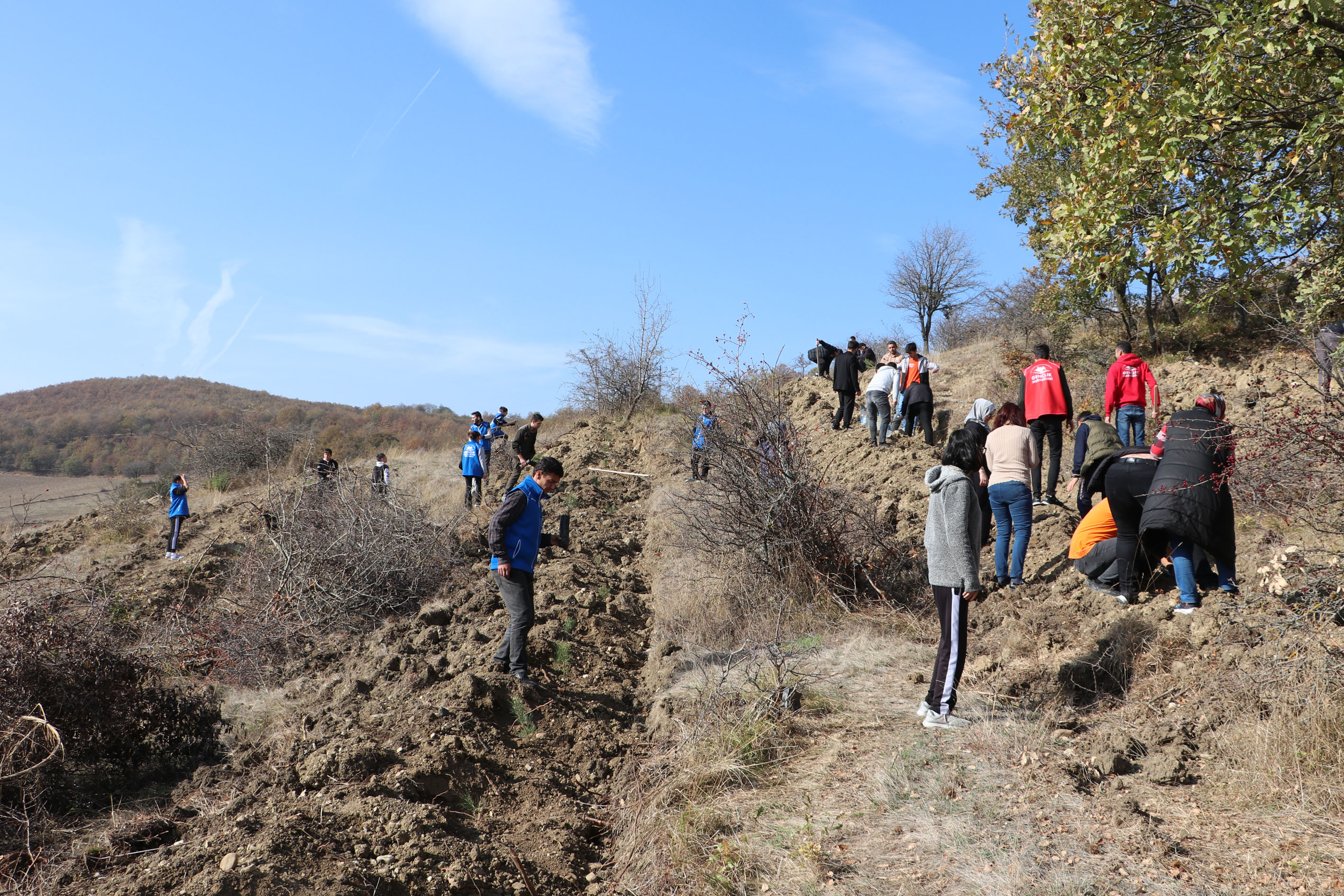 aa-20231111-32806753-32806749-havzada-milli-agaclandirma-gunu-dolayisiyla-fidan-dikimi-yapildi.jpg