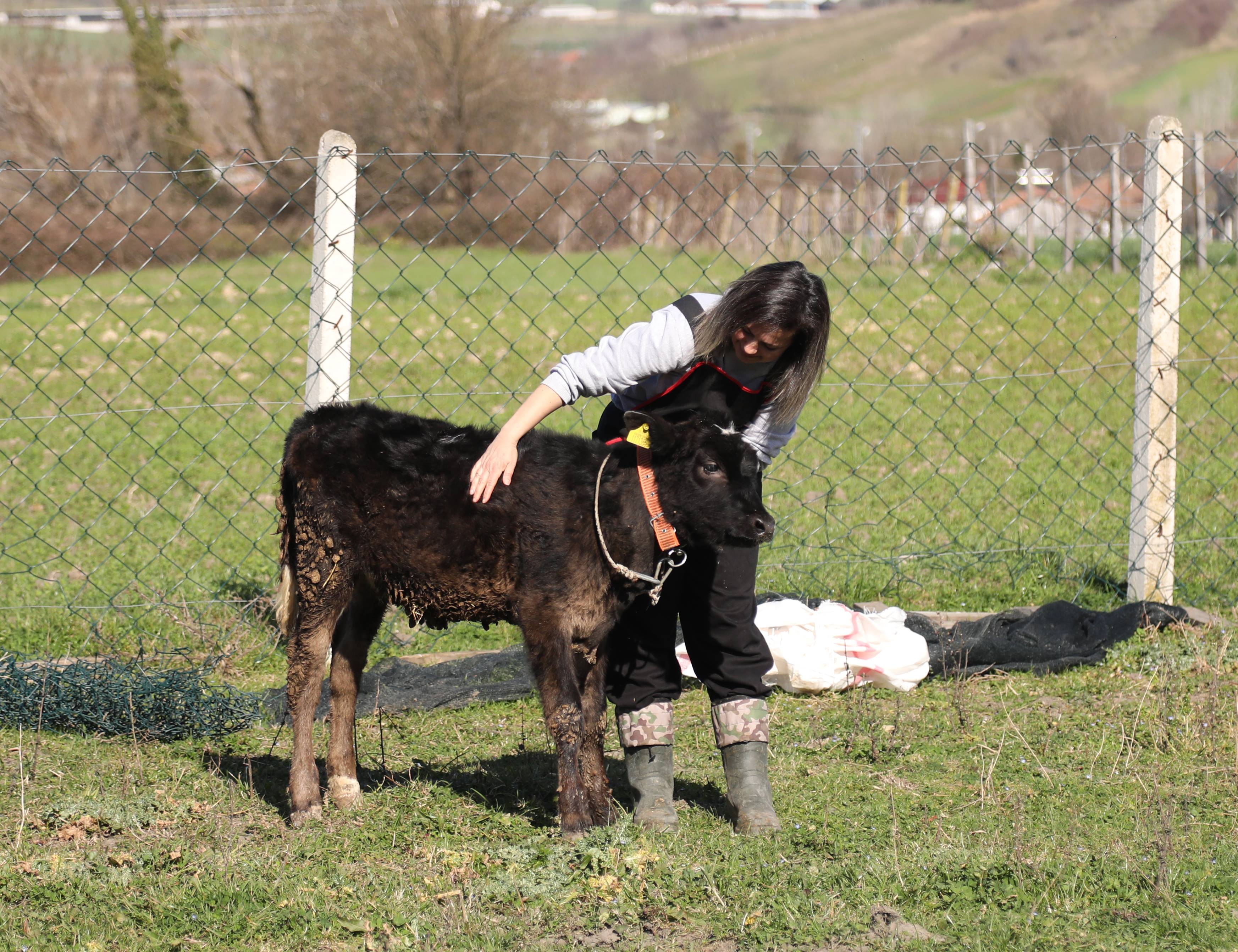 aa-20240214-33701220-33701216-sehir-hayatini-birakip-hayallerindeki-yasami-koyde-kurdular.jpg