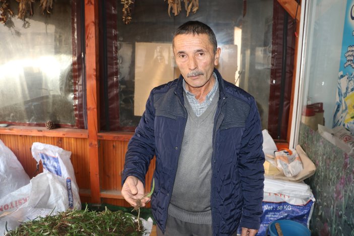 dogadan-salep-bitkisi-toplamanin-cezasi-462168-136507.jpg