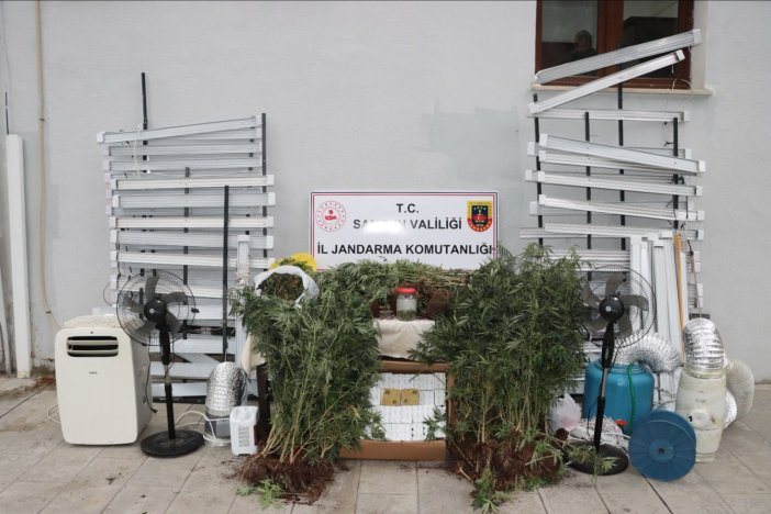 kenevir-yetistirmek-icin-evine-sistem-ku-709832-210065.jpg