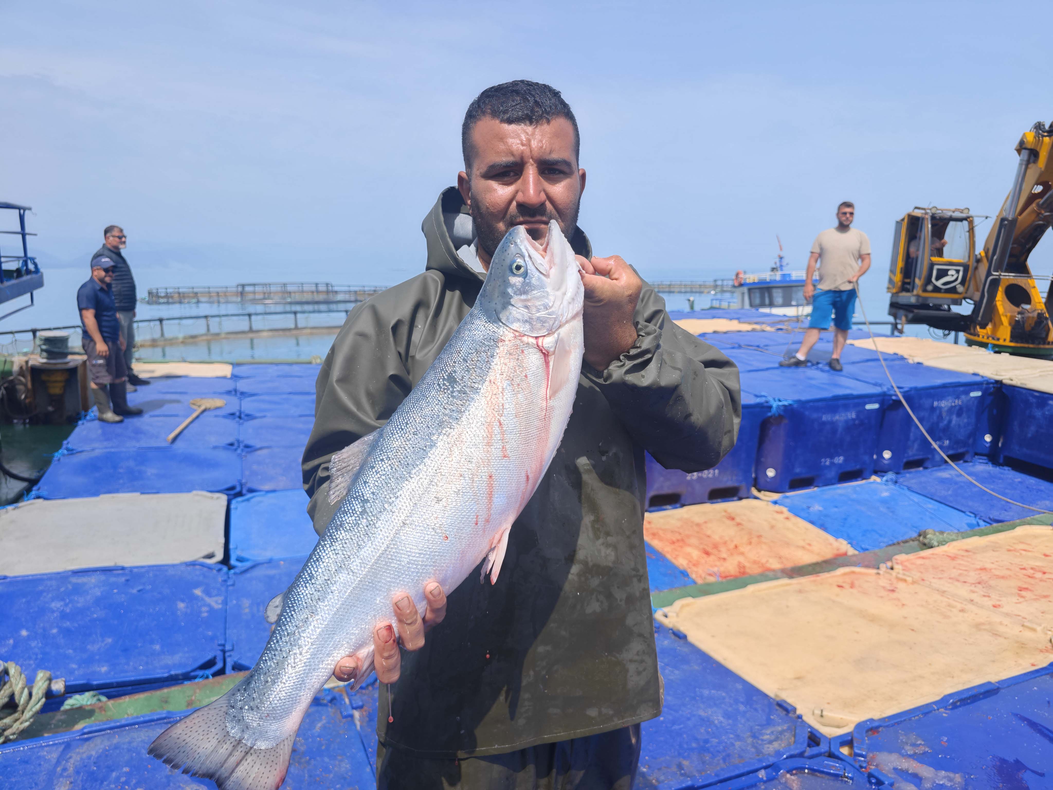 aa-20250526-38088013-38088007-samsunda-turk-somonu-hasadi-basladi.jpg