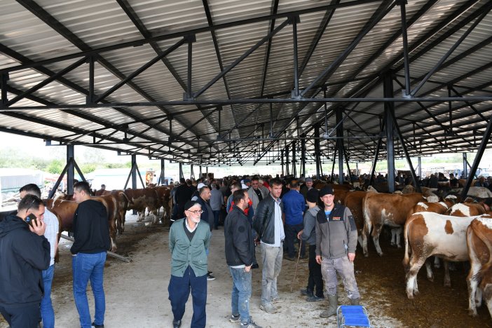 aa-20250605-38187643-38187642-ladik-belediyesi-kapali-hayvan-pazarini-hizmete-acti.jpg