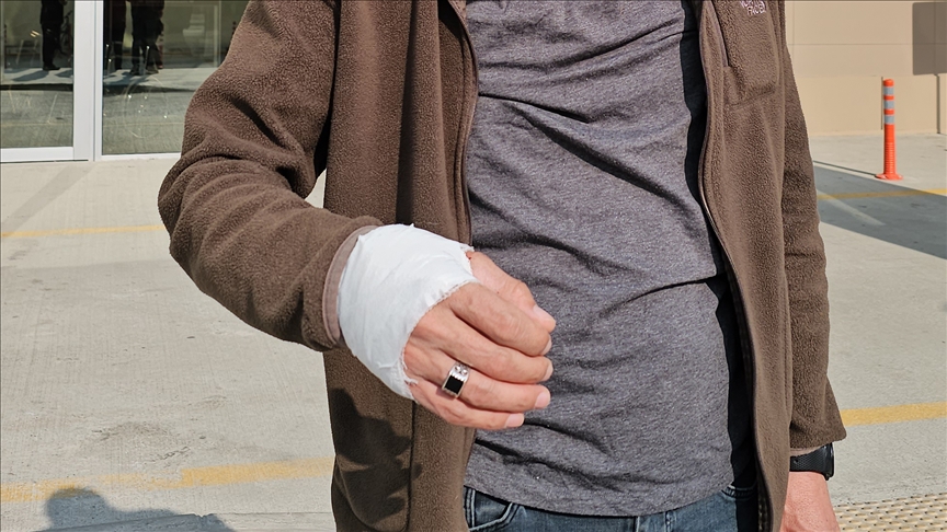 thumbs-b-c-ddae3c9d90ebdfd32972cd050be8b6e9.jpg