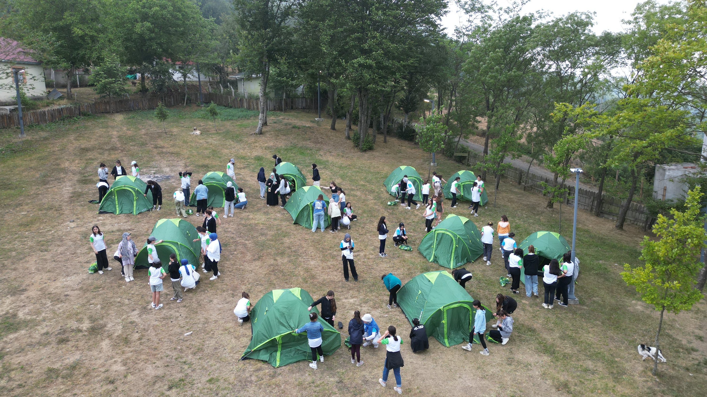 dji-0218.jpg