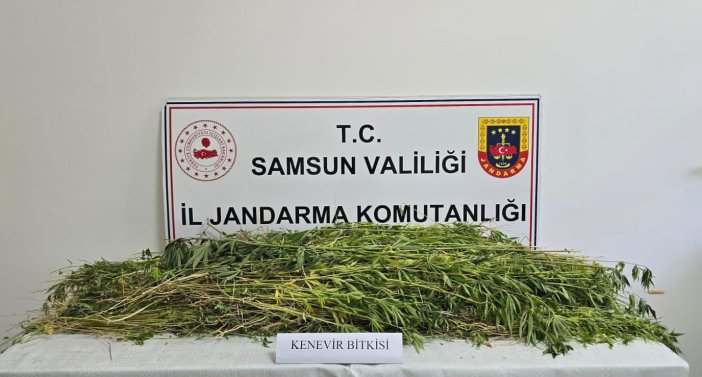 aa-20250703-38458475-38458474-samsunda-5-bin-608-kok-hint-keneviri-ele-gecirildi.jpg