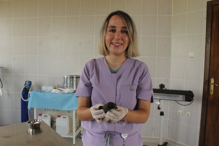 aa-20250810-38789458-38789453-yarali-bulunan-ak-karinli-ebabil-kizilirmak-deltasindaki-klinikte-tedavi-ediliyor.jpg