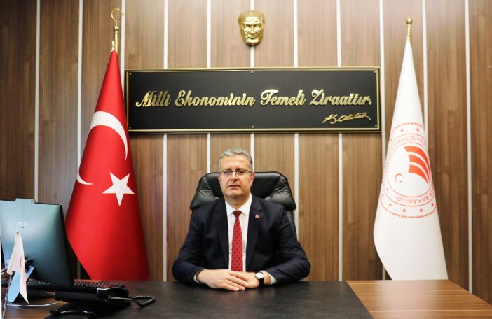 misir.jpg