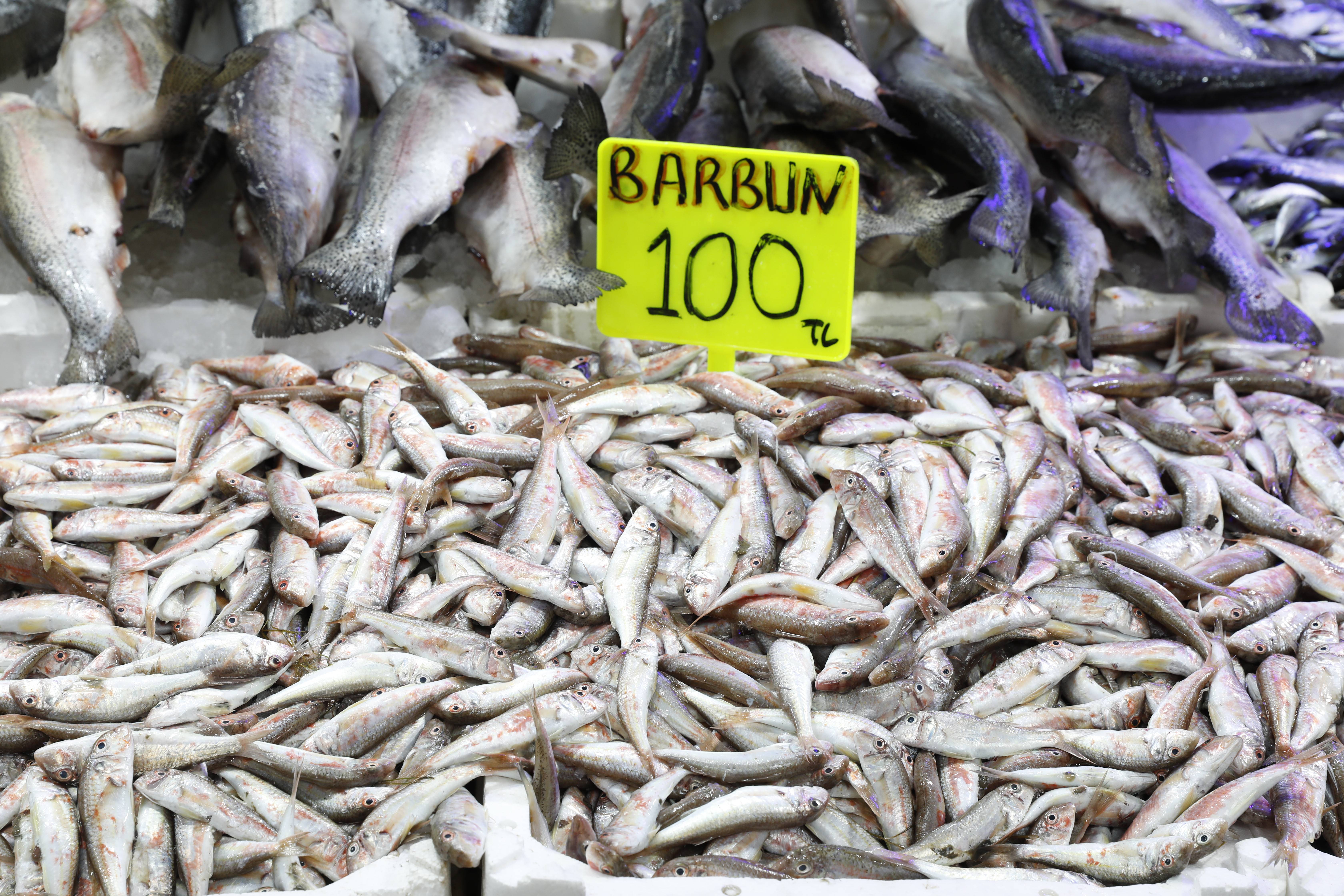 aa-20250909-39064556-39064549-samsunda-hamsi-tezgahta-200300-liradan-satiliyor.jpg