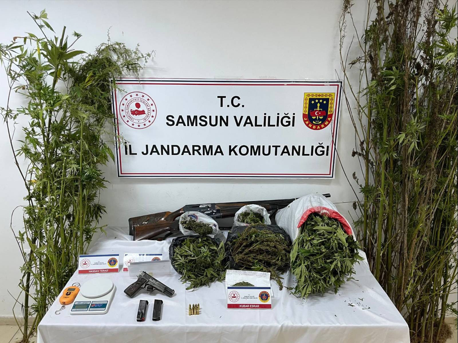 aa-20250929-39254471-39254470-samsunda-evinde-9-kilo-660-gram-esrar-ele-gecirilen-zanli-yakalandi.jpg
