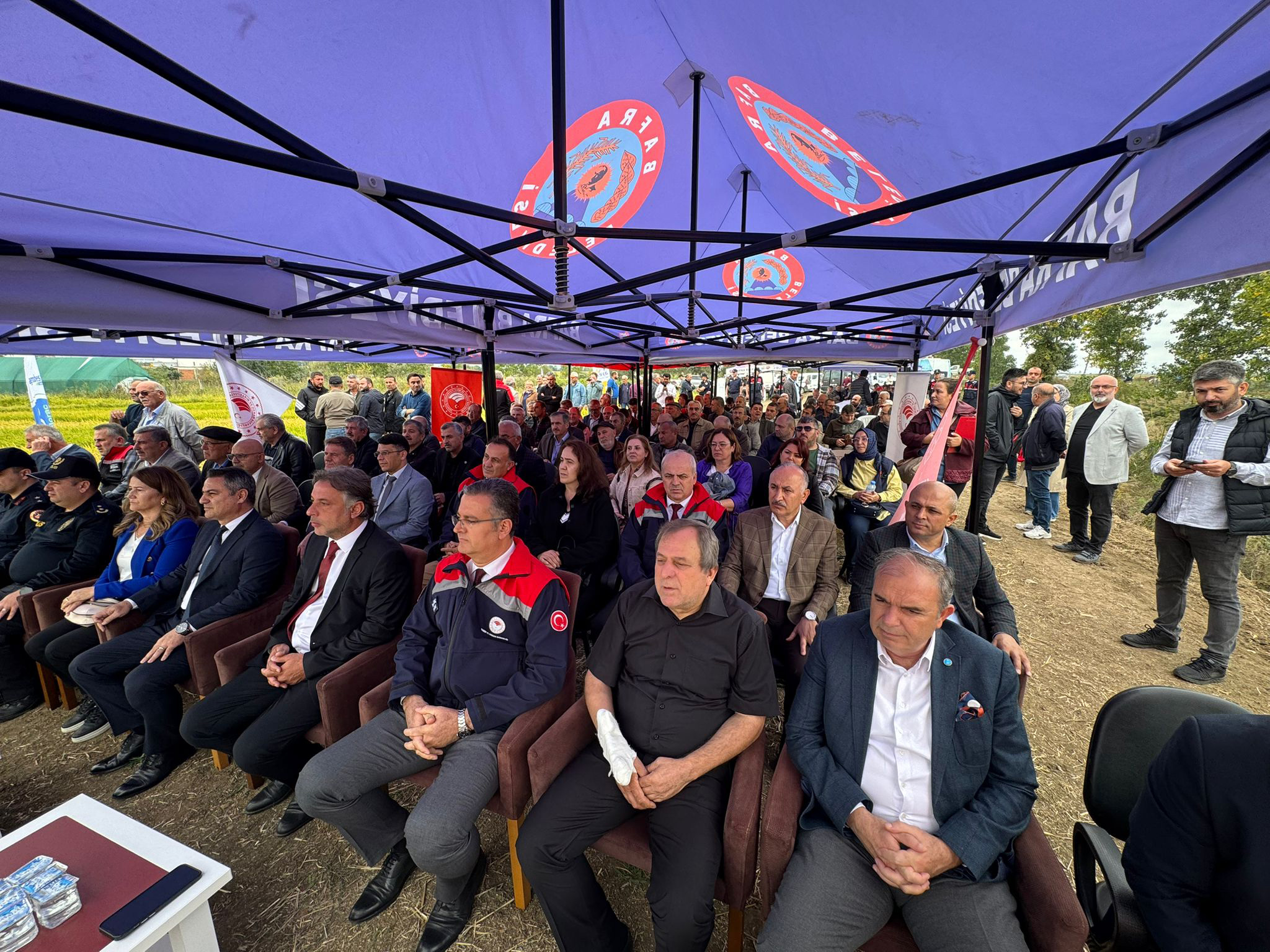 samsunun-bafra-ovasinda-celtik-hasadi-938474-278653.jpg