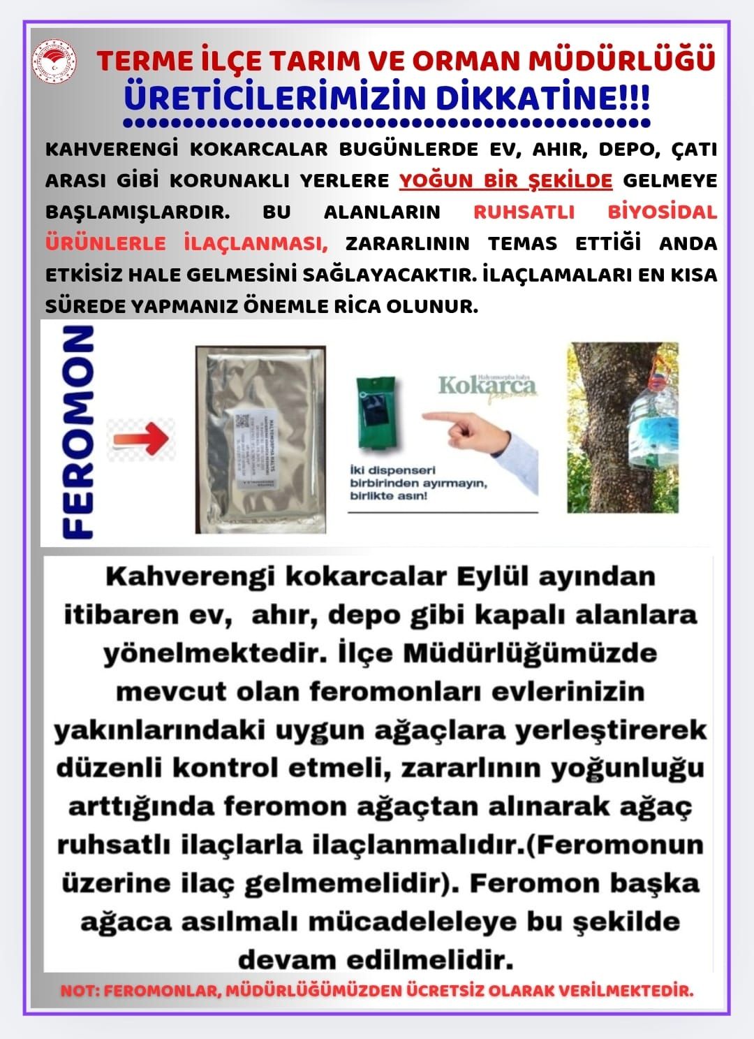 aa-20251006-39323809-39323806-termede-kahverengi-kokarca-bocegine-karsi-ureticilere-uyari.jpg