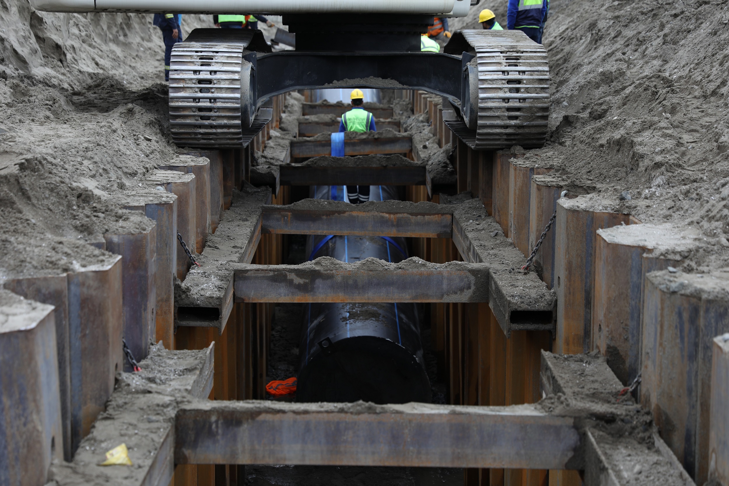 dci-795-8.jpg