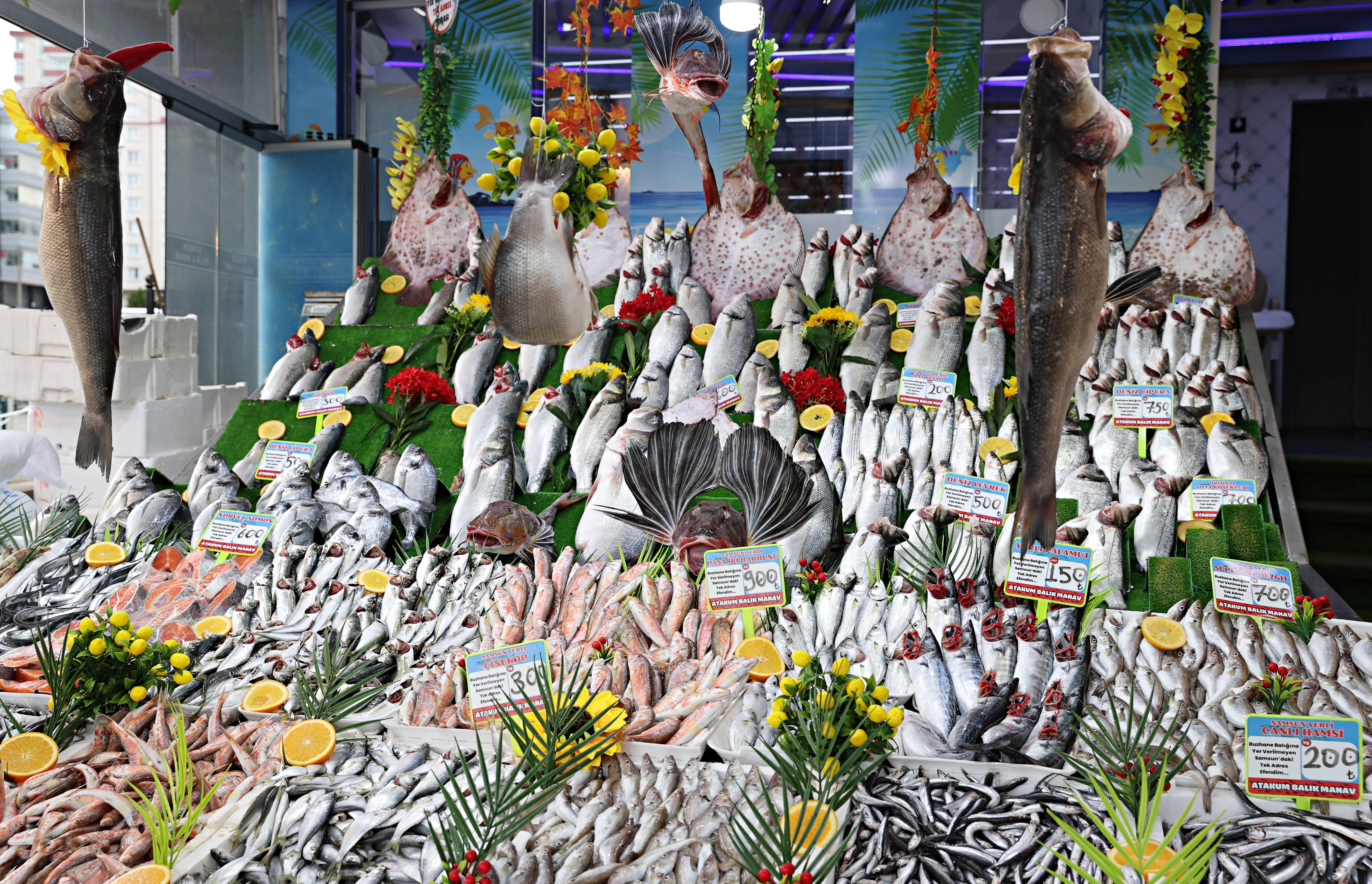 aa-20260112-40230519-40230509-samsundaki-tezgahlarda-onlarca-cesit-balik-musterilere-sunuluyor.jpg