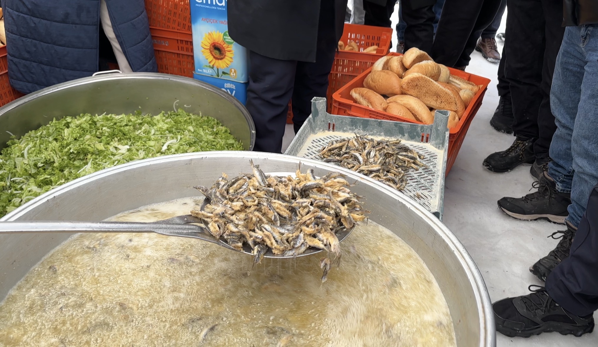 aa-20260125-40363133-40363130-samsunda-duzenlenen-festivalde-1-ton-hamsi-ikram-edildi.jpg