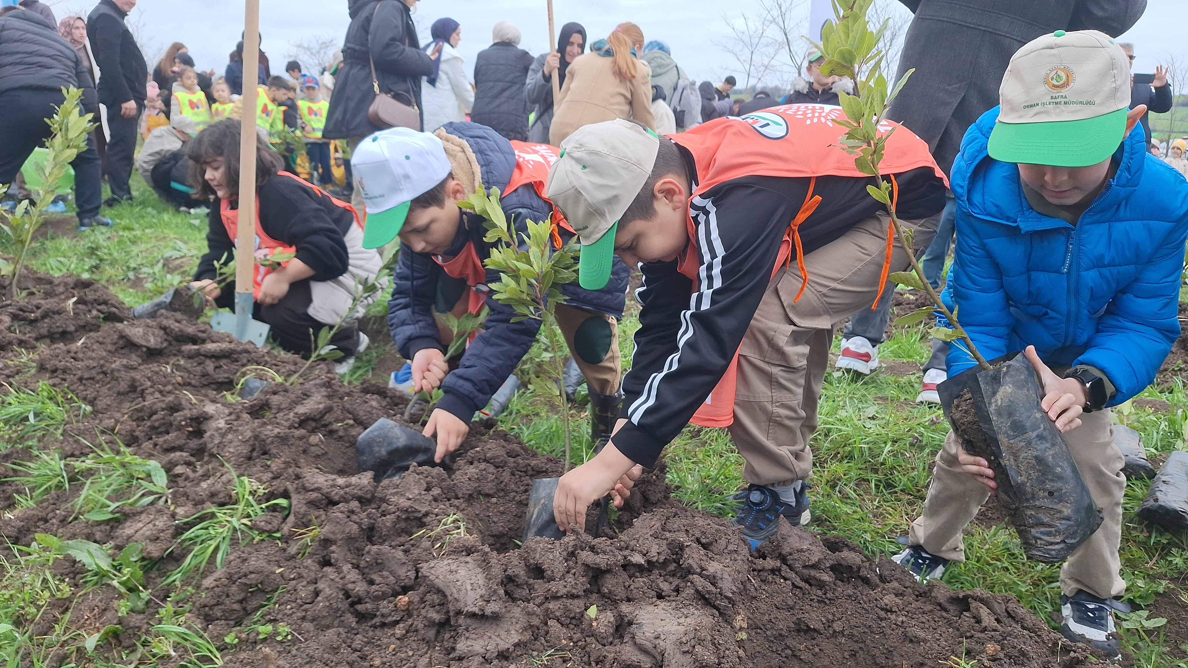 aa-20260326-40930078-40930076-bafrada-turkiyenin-gucu-orman-etkinliginde-3-bin-fidan-toprakla-bulustu.jpg