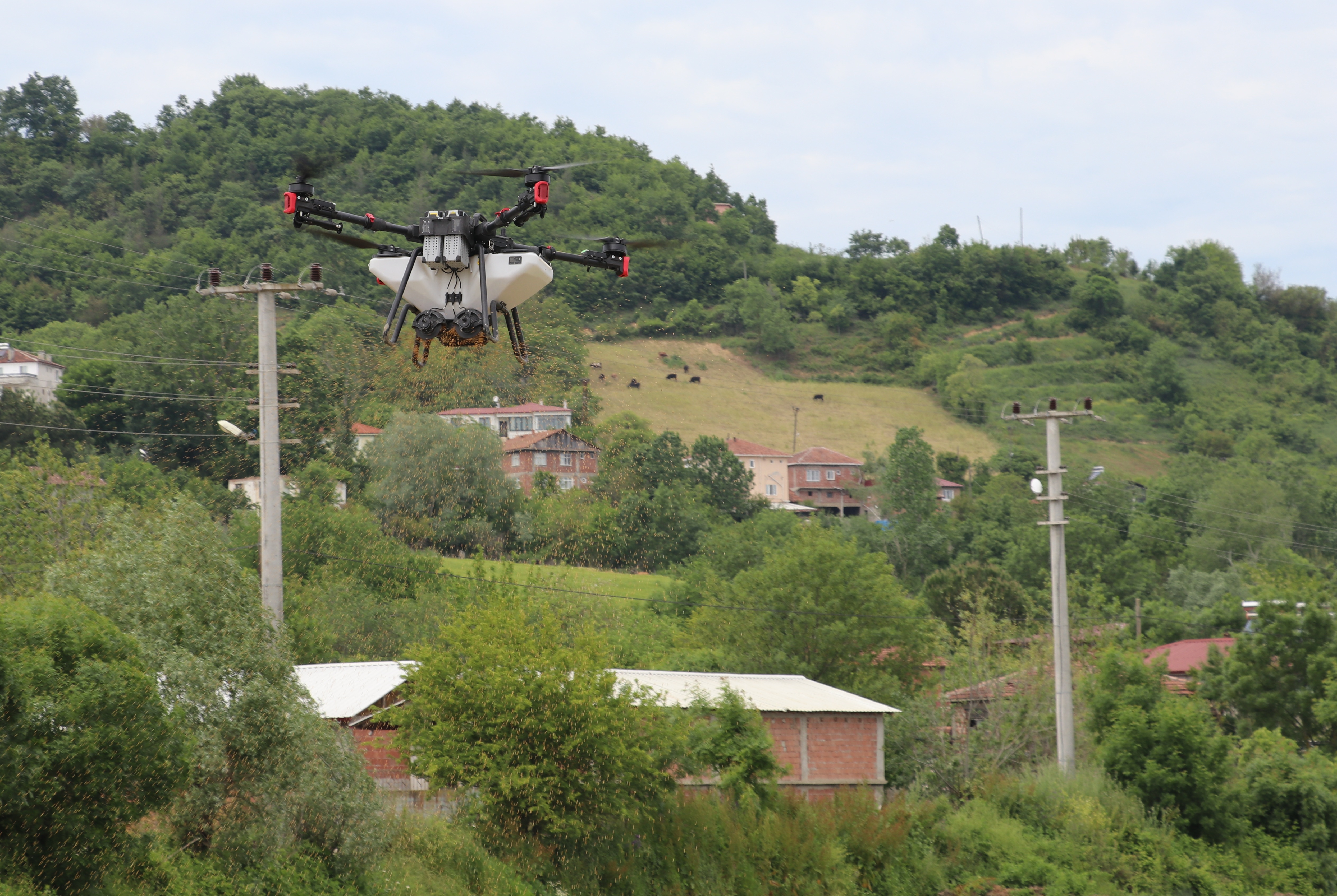 aa-20260520-41444211-41444210-bafra-ovasinda-celtik-tohumlari-dron-ile-toprakla-bulusturuluyor.jpg
