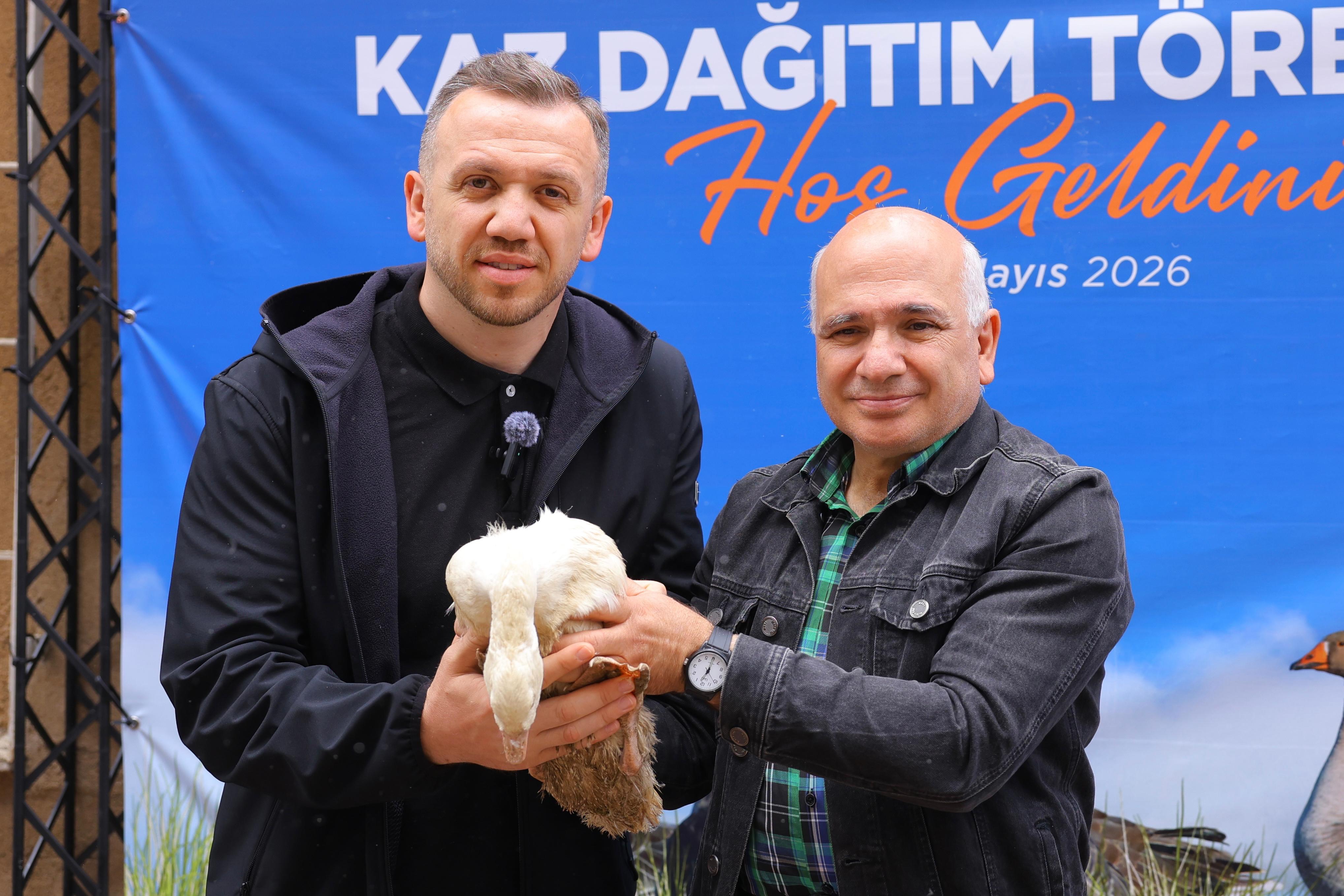 img-459-3.jpeg
