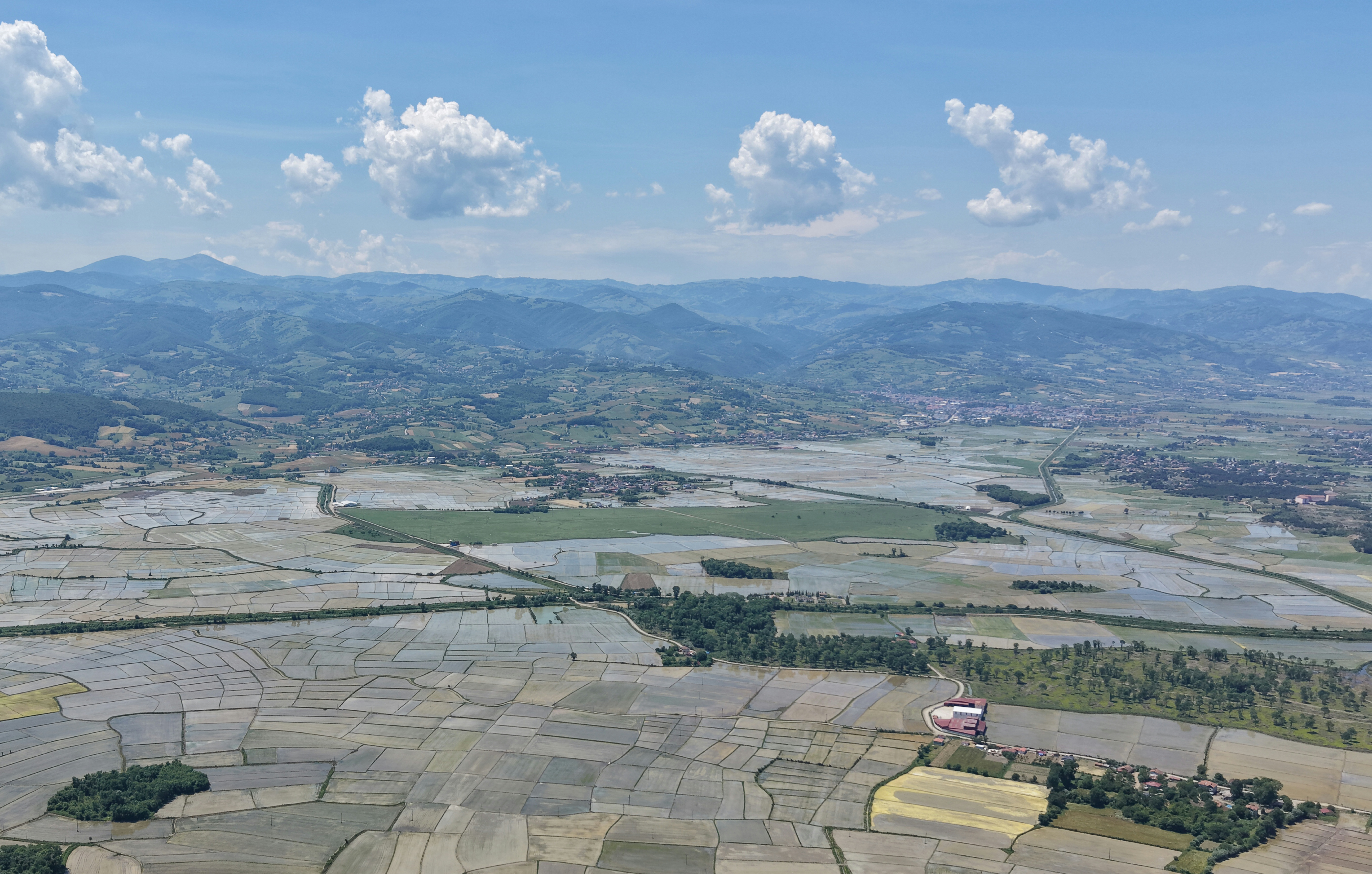 aa-20260604-41577886-41577880-samsunda-zirai-dronla-celtik-ekimi-gerceklestiriliyor.jpg