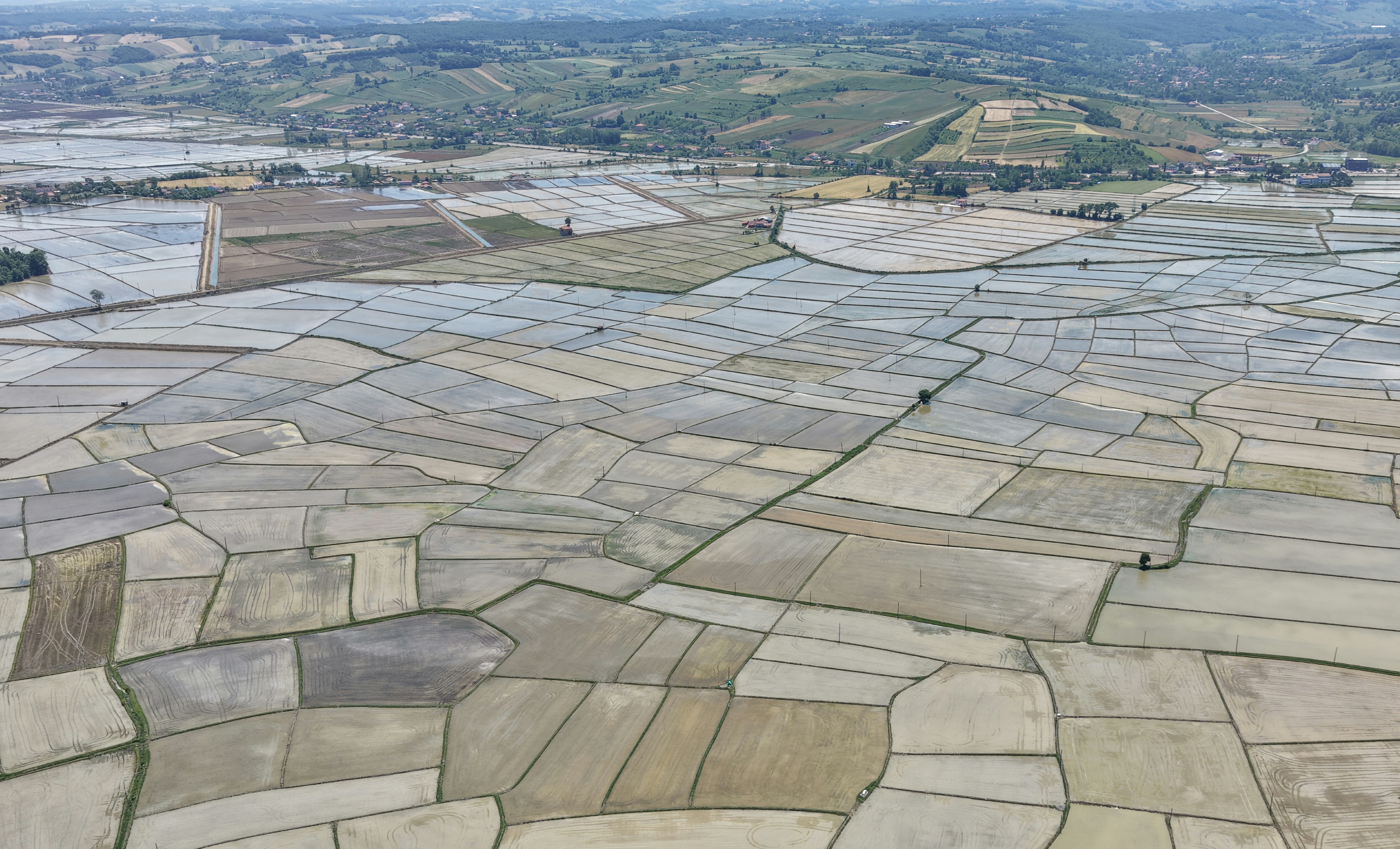 aa-20260604-41577886-41577882-samsunda-zirai-dronla-celtik-ekimi-gerceklestiriliyor.jpg