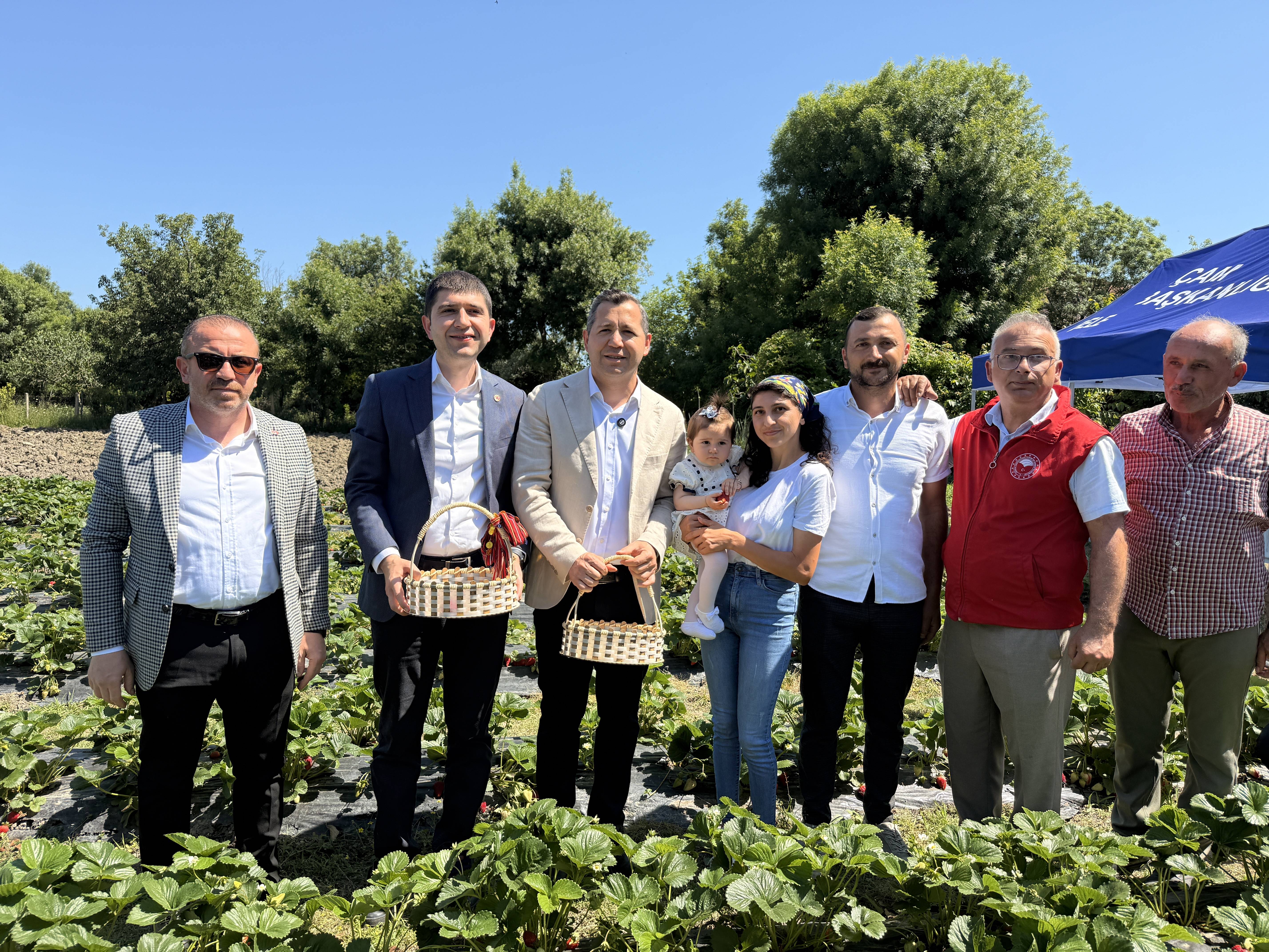 aa-20260606-41593234-41593230-bankaciligi-birakan-genc-kadin-ciftci-cilek-uretimine-yoneldi.jpg