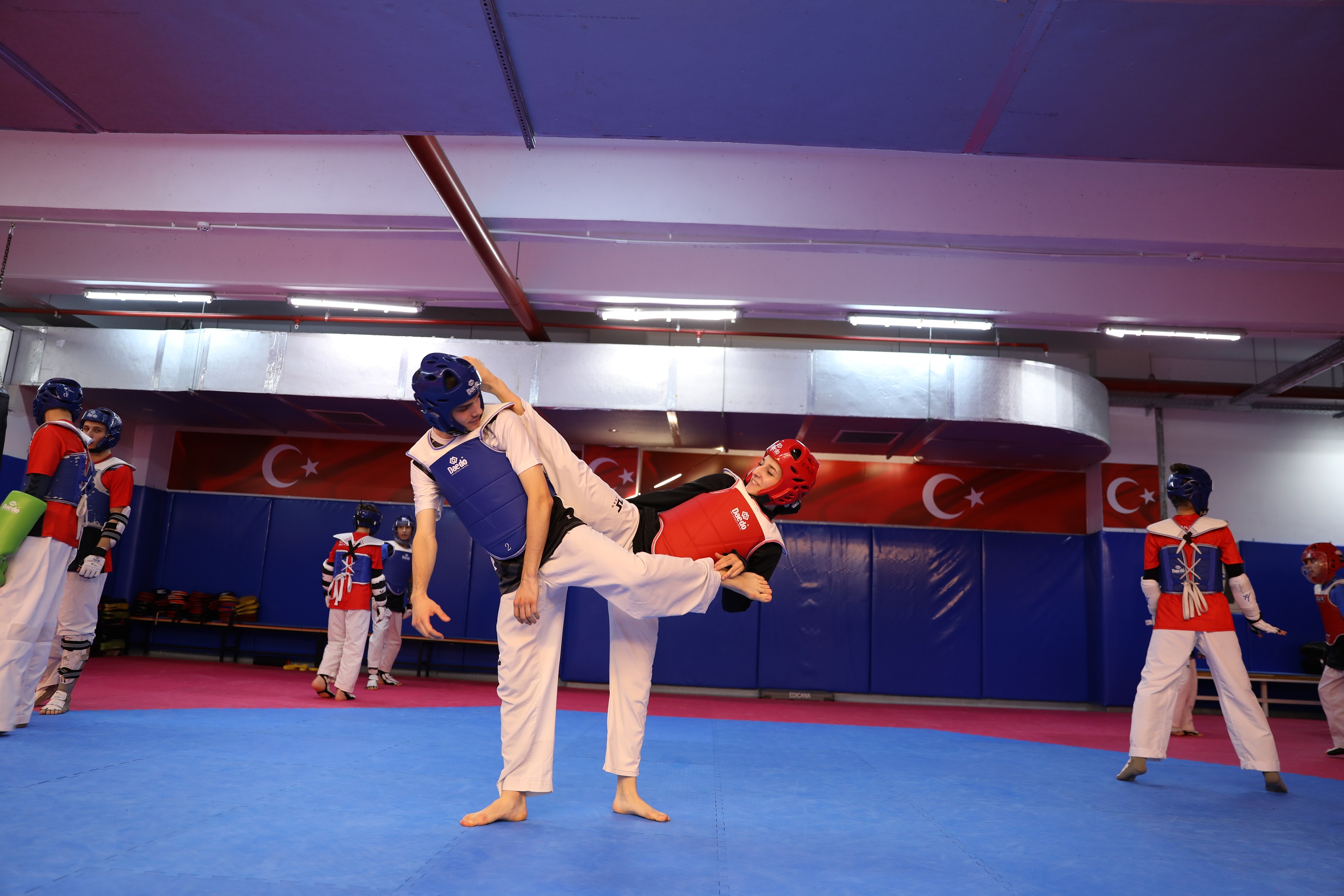 img-6562-4.jpg