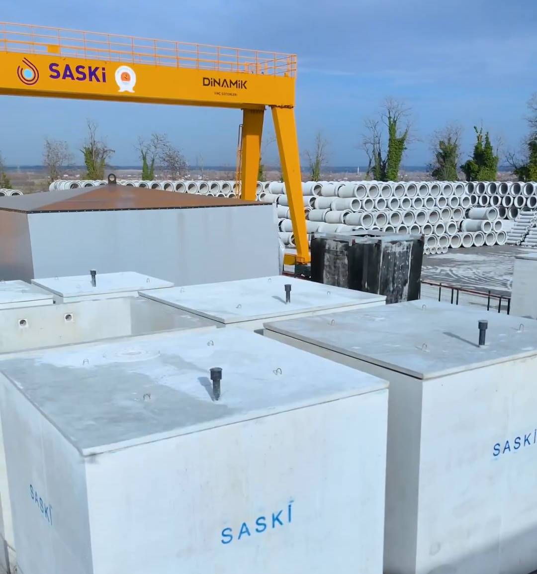 saski-1.jpg