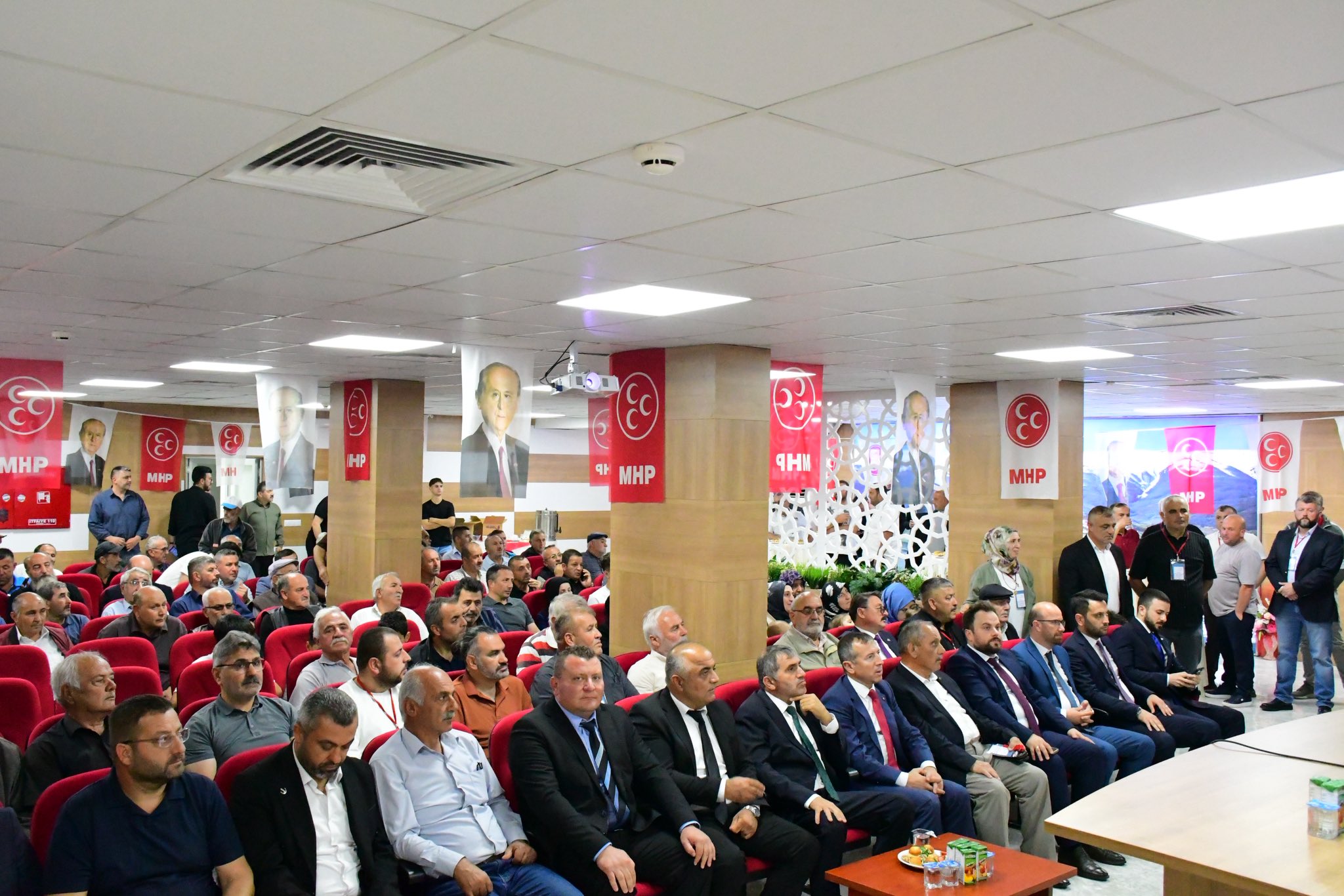 topal-2.jpg