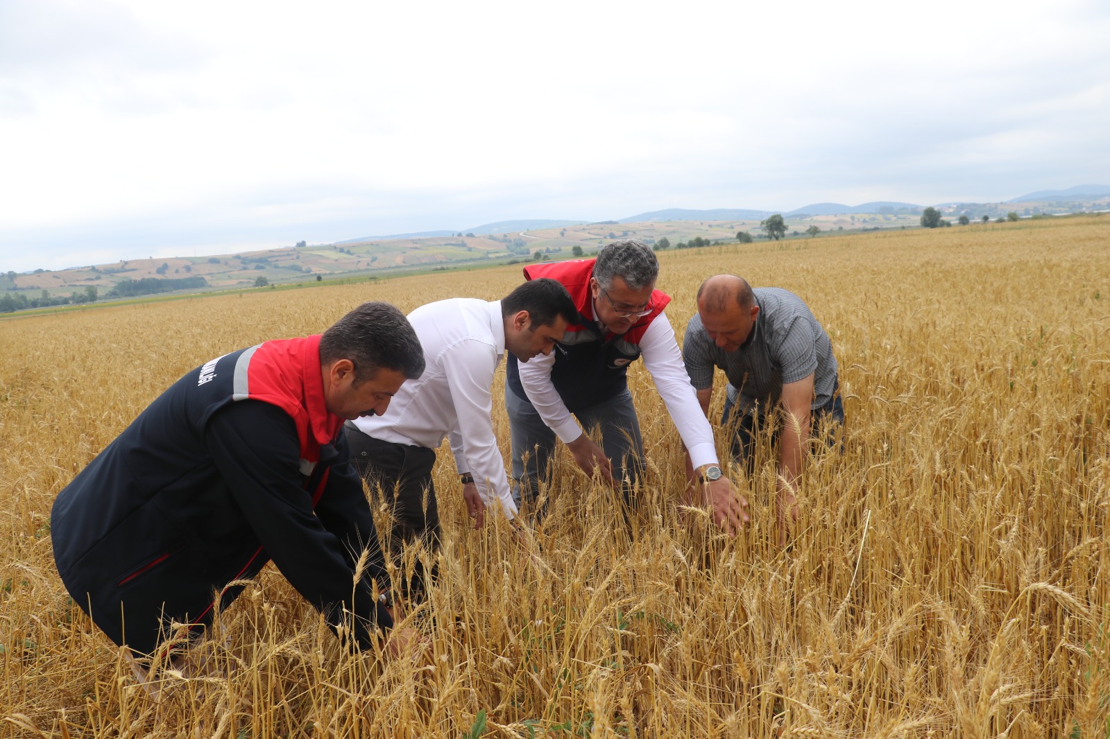 samsunda-dolu-afetinde-40-bin-dekar-tar-1428145-424493.jpg