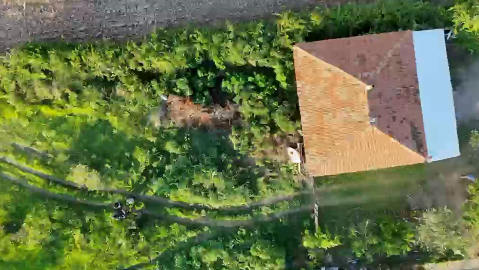 samsunda-kenevir-operasyonu-dron-kamera-1463359-435397.jpg