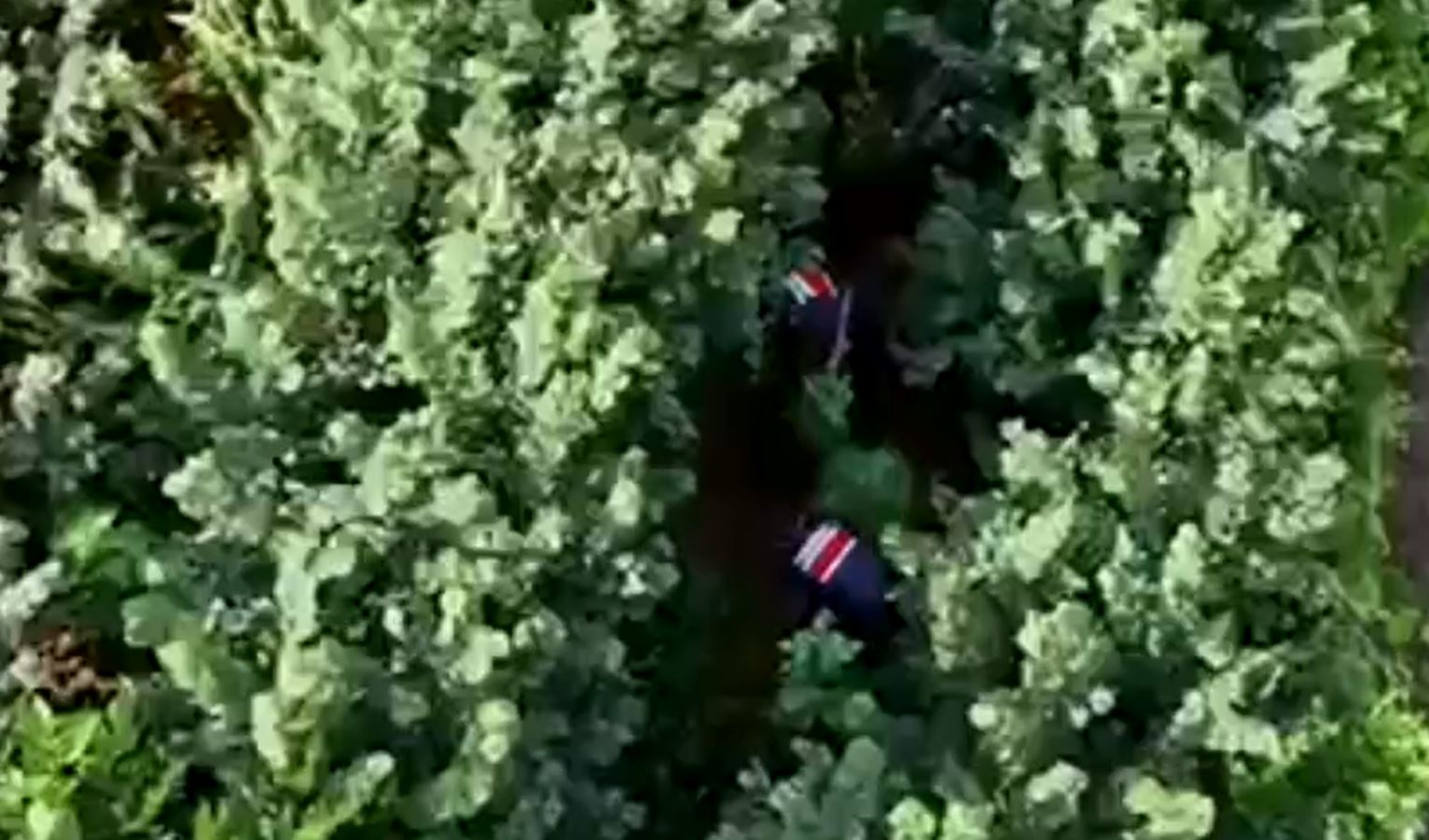 samsunda-kenevir-operasyonu-dron-kamera-1463360-435397.jpg