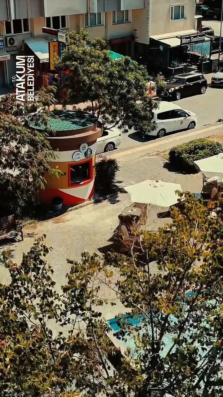 8678.jpg