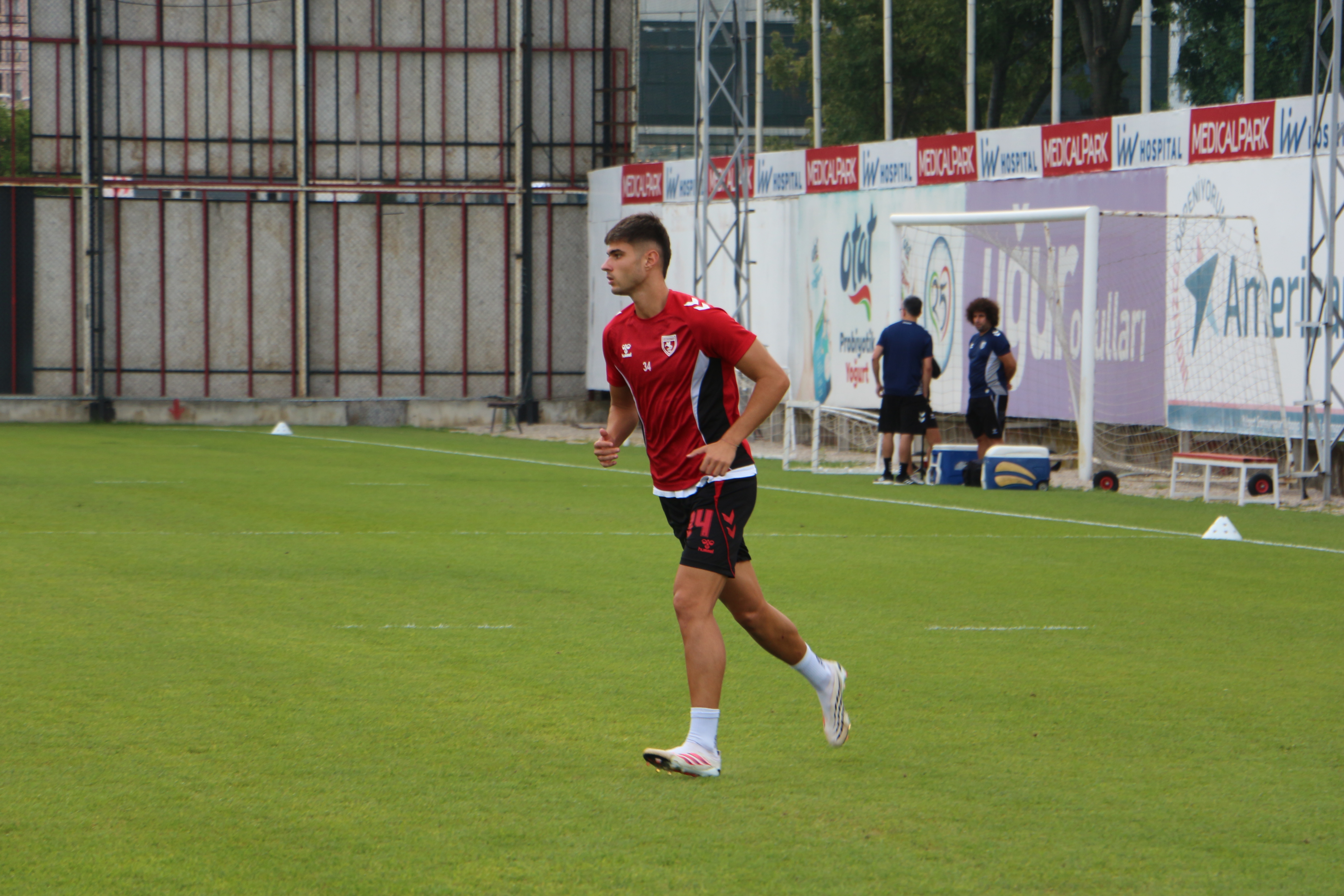 guarino-3.jpg