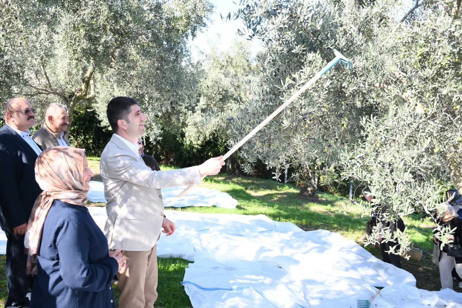 aa-20261022-42834834-42834831-samsunda-zeytin-hasadi-yapildi.jpg