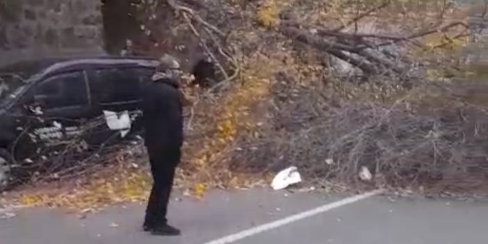 Samsun'da fırtına ağaçları devirdi