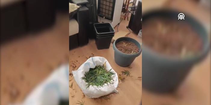 İklimlendirme sistemiyle kenevir yetiştiren şüpheli yakalandı